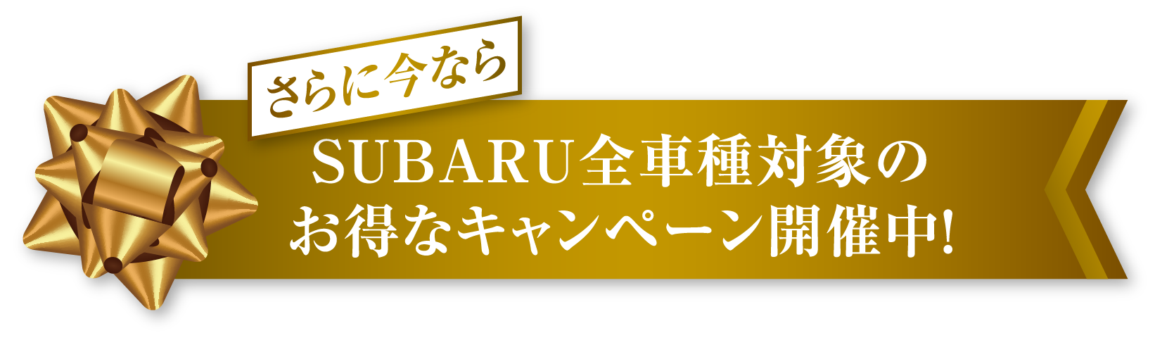 さらに今ならSUBARU全車種対象のお得なキャンペーン開催中！