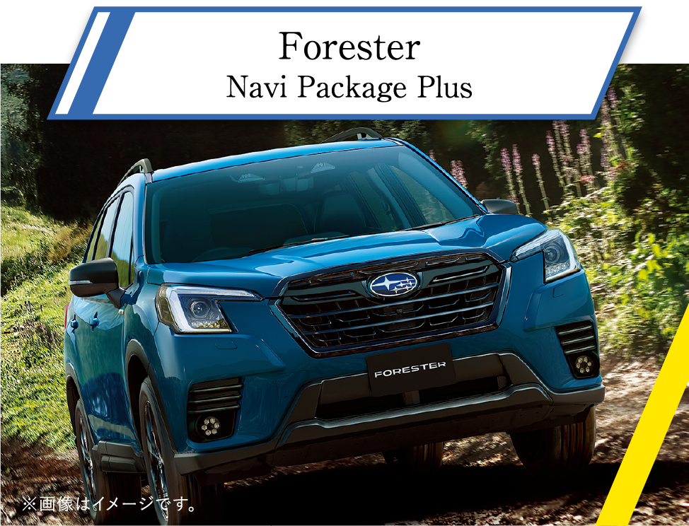 Forester Navi Package Plus