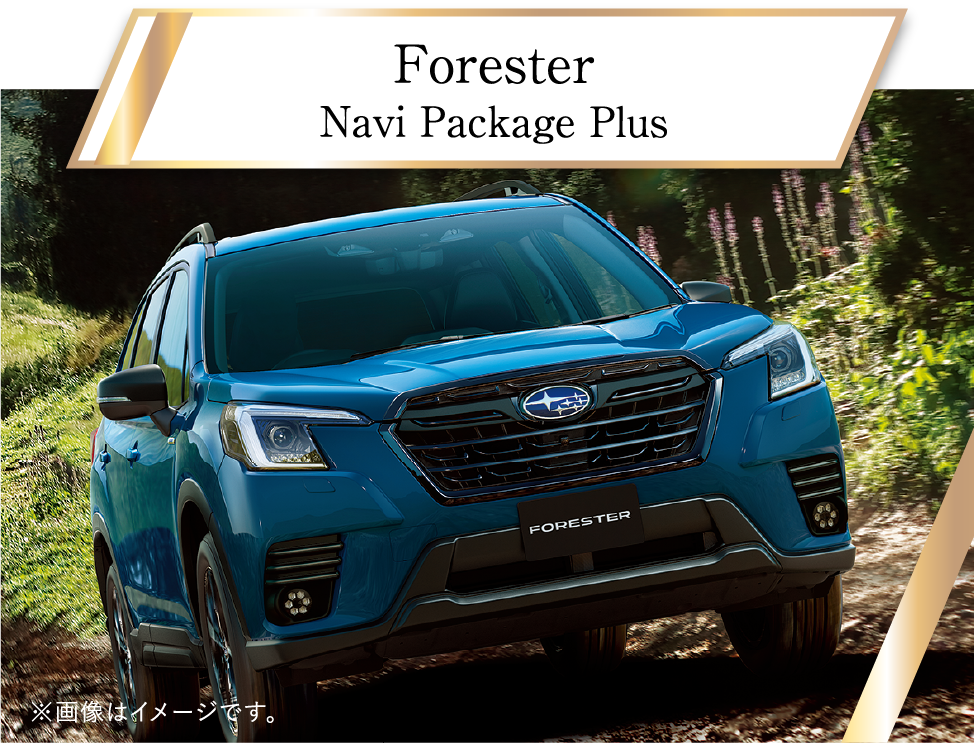 Forester Navi Package Plus