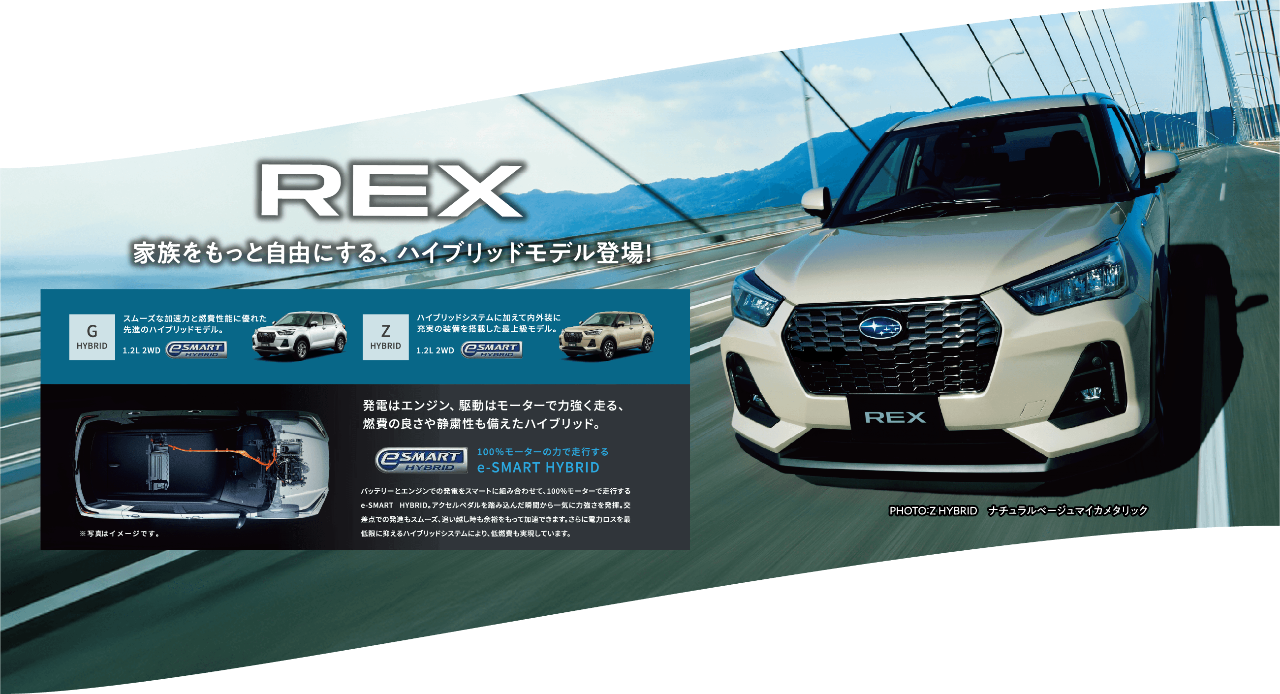 REX