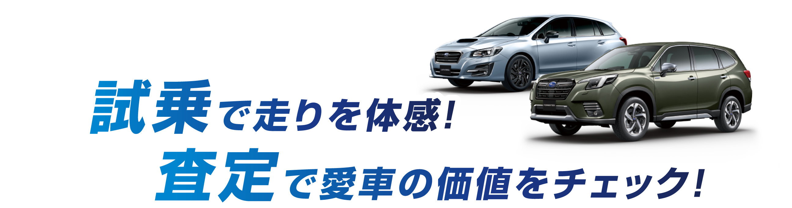 試乗で走りを体感！査定で愛車の価値をチェック！