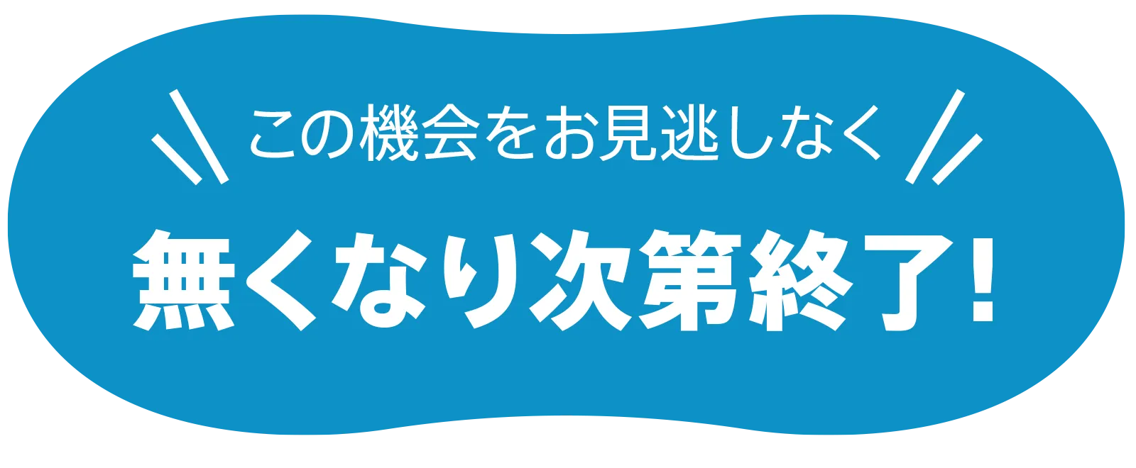 無くなり次第終了!この機会をお見逃しなく!!
