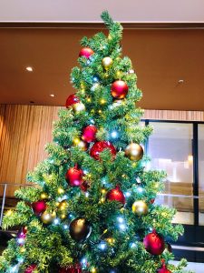 綺麗なクリスマス 泉佐野店 スタッフブログ 大阪スバル株式会社